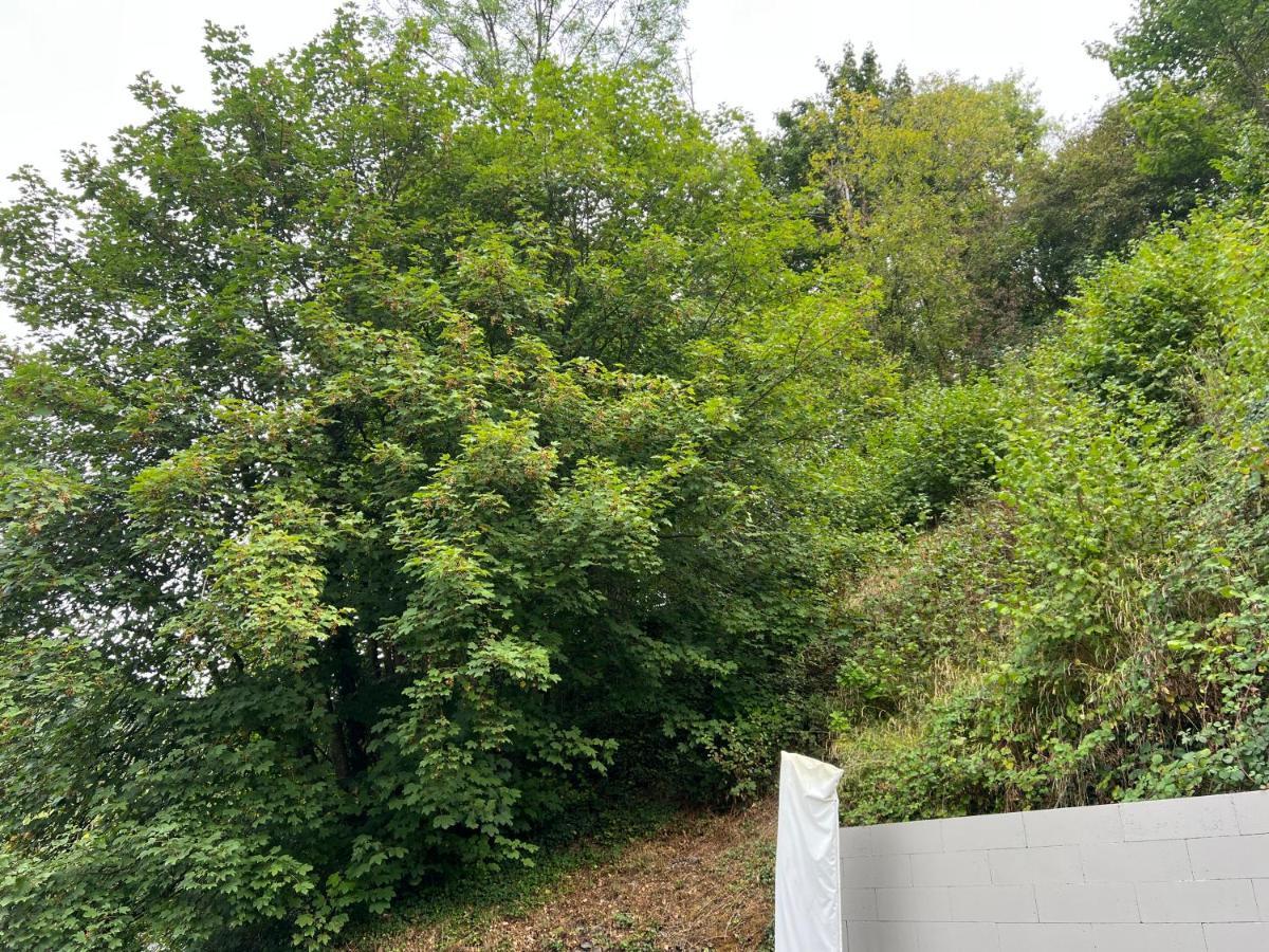 Aux Berges Du Bocq Villa Yvoir Kültér fotó